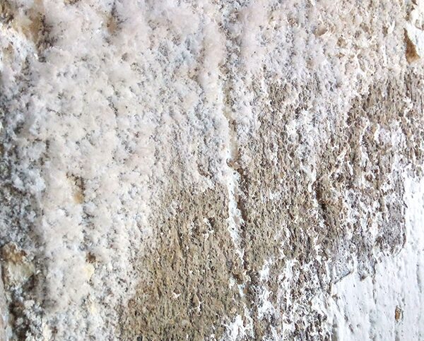 Efflorescenze saline