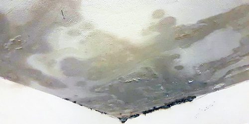 Muffa in casa: rimedi naturali efficaci per eliminare definitivamente la muffa da muri e soffitti.