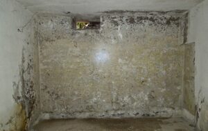 Interrati-e-scantinati-umidi