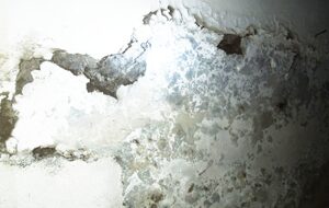 intonaci-danneggiati